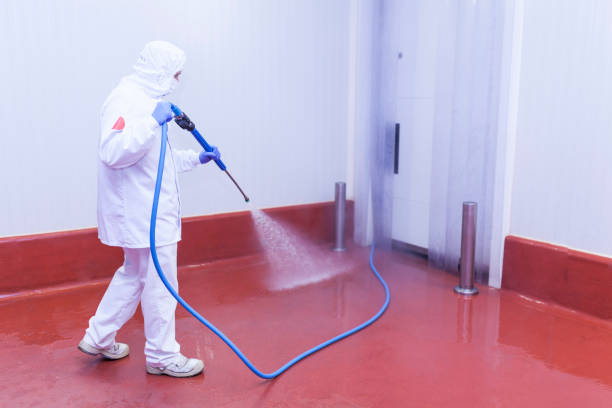 Best Soft Washing for Delicate Surfaces in Bourg, LA